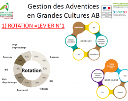 schémas de rotation des cultures