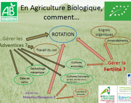 Schema Leviers gestion bioagresseurs
