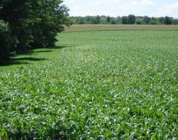 Contrat de Solutions