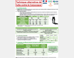 Techniques alternatives