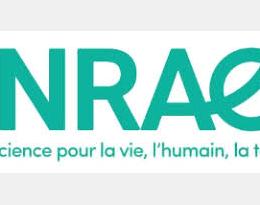 INRAE, la science pour la vie, l'humain, la terre