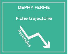 Réduire les phytos en conservant sa rotation