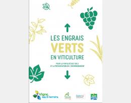 Les engrais verts en viticulture