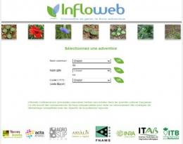 infloweb