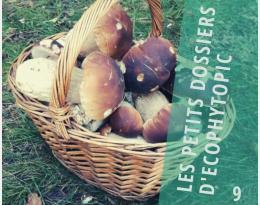 Un panier qui se remplit de CEPP pour la mise en œuvre de la protection intégrée