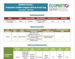 première page fiche scep
