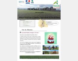 Newsletter_n11