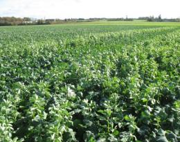 présentation du groupe Dephy 28 au Techn'bio 2018