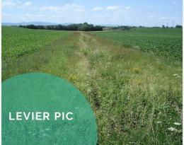 Implanter des bandes enherbées pour les auxiliaires