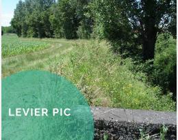 Adapter la gestion des bordures de champs à la biodiversité