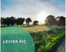 Préserver / implanter des haies, arbres isolés et lisières boisées pour les auxiliaires