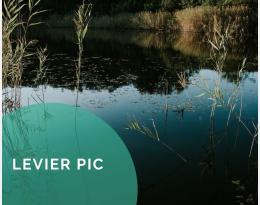 Préserver / aménager des milieux aquatiques et semi-aquatiques favorables aux auxiliaires