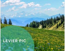 Préserver et/ou aménager des prairies et milieux ouverts (friches, landes…) pour les auxiliaires