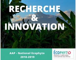 Projet CAP sans glypho