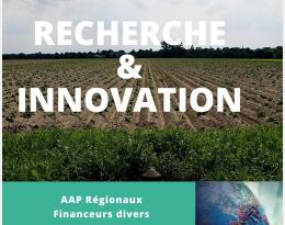 Projet LISEA OCEALIA POLLINISATEURS