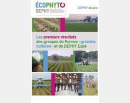 Les premiers résultats des groupes de fermes "grandes cultures" et de DEPHY Expé