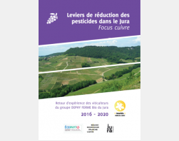 Réduction d'usage de cuivre en viticulture biologique et recueil de témoignages