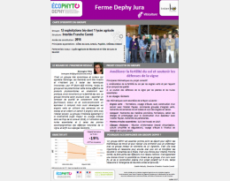 Présentation du collectif