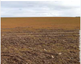 Dossier spécial glyphosate: éviter la sortie de route