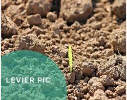 Préparer le semis en réalisant un faux-semis