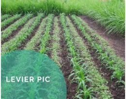 Aménager des zones attractives et d'autres répulsives : stratégie "push-pull" 