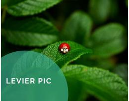 Savoir identifier et reconnaitre les différents auxiliaires