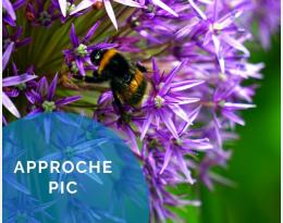 Prendre en compte les pollinisateurs dans son agro-écosystème