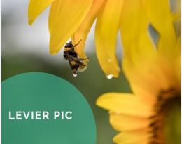 Savoir identifier les produits phytosanitaires néfastes pour les auxiliaires