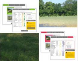 Auxilhaie et Auxilherbe