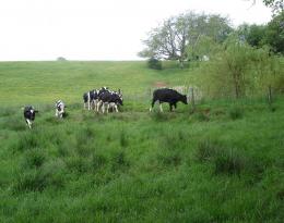 Outil Modélisation Impact Evolution Assolement (OMIMEA)