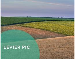 Adapter la succession et les espèces cultivées en fonction des risques sanitaires