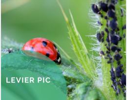 Evaluer le potentiel de régulation naturelle des bioagresseurs