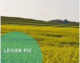 Implanter des cultures intermédiaires à effet allélopathique négatif ou biocide : biofumigation