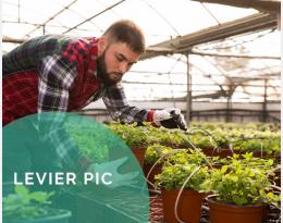 Raisonner la fertilisation en pratiquant des apports fractionnés ou localisés