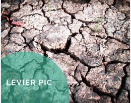 Vague de chaleur : Anticiper, surveiller et agir