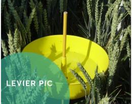 Surveiller l'arrivée de bioagresseurs en installant des pièges