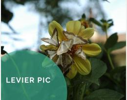 Se baser sur le seuil indicatif de risque  pour programmer une intervention 