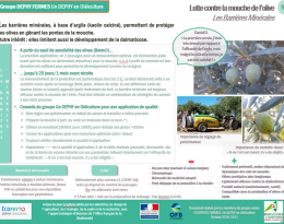 Fiche thématique LUTTE CONTRE LA MOUCHE DE L'OLIVE : Les Barrières Minérales