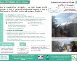 Fiche thématique LUTTE CONTRE LA MOUCHE DE L'OLIVE : Les Filets Anti-Insectes