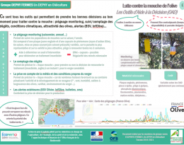 Fiche thématique LUTTE CONTRE LA MOUCHE DE L'OLIVE : Les Outils d'Aide à la Décision