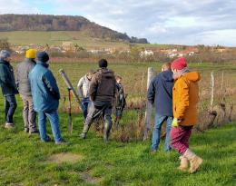 Groupe Dephy dans les vignes - Côtes de Toul