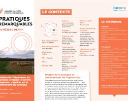 Une fiche pratique illustrant la gestion d'une interculture longue avec pâturage de moutons