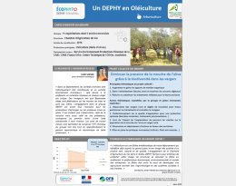 Fiche de présentation du groupe Un DEPHY en Oléiculture 2016-2021