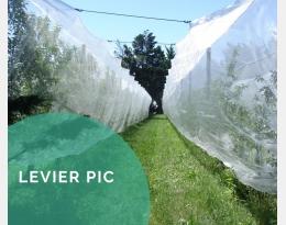 Mettre en place des dispositifs physiques contre les insectes