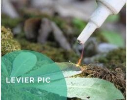 Pratiquer le désherbage électrique 