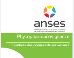 anses fiches pharmacovigilance