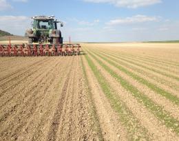 Traitement localisé - binage - guidage RTK