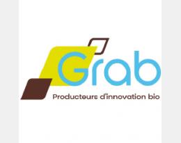 logograb