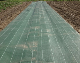 Occultation avec toile hors sol (CA Gard)