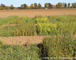 Essais Casdar raid - Stéphane Cordeau